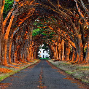 郭晶晶三级露全乳
