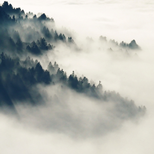 郭晶晶三级露全乳
